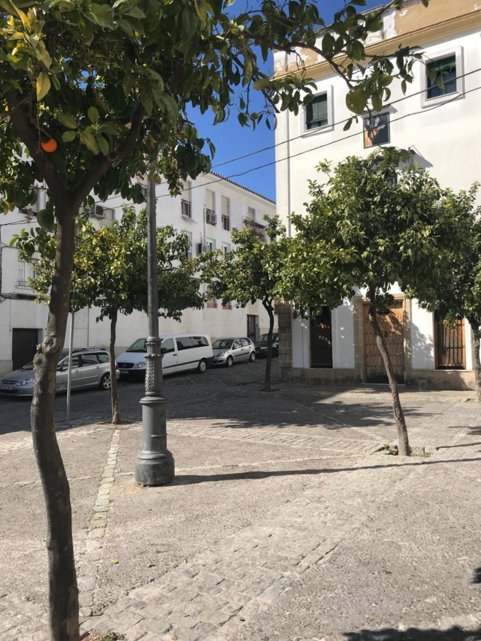 Apartamento !!Vive Jerez!! Χέρεζ Εξωτερικό φωτογραφία